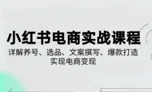 小红书从0-1实操课(2023-2025),详解养号、选品、文案撰写、爆款打造实现电商变现-佰校通网创