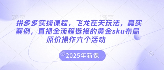 拼多多实操课程,飞龙在天玩法,真实案例,直播全流程链接的黄金sku布局原价操作六个活动-佰校通网创