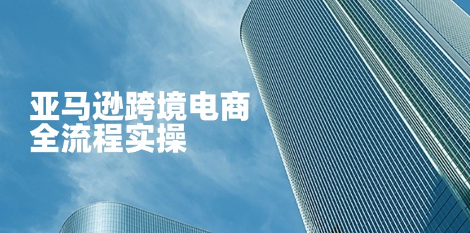 （14252期）亚马逊跨境电商全流程实操，教你从零开始，掌握店铺运营与广告技巧-佰校通网创