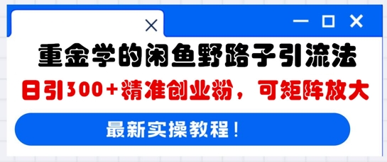 重金学的闲鱼野路子引流法，日引300+精准创业粉，可矩阵放大-佰校通网创