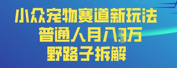 小众宠物赛道新玩法,普通人月入过1W的野路子拆解-佰校通网创