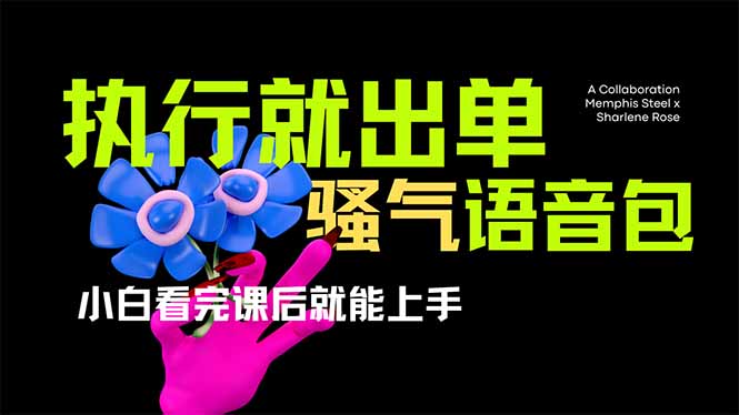 （14170期）爆火全网的开车导航骚气语音包,只要执行就出单，小白看完课程就能实操…-佰校通网创