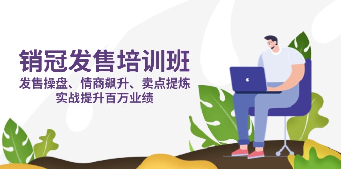 （14203期）销冠 发售培训班：发售 操盘+情商 飙升+卖点 提炼，实战提升百万业绩-佰校通网创